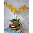 Ver imagem 1 de Arranjo Com 2 Orquídeas Amarela Vaso Cobre 22cm