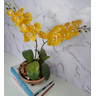 Arranjo Com 2 Orquídeas Amarela Vaso Cobre 22cm - 2