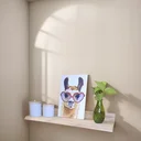 Ver imagem 3 de Prateleira, Organizador, Suporte para Decorar P26