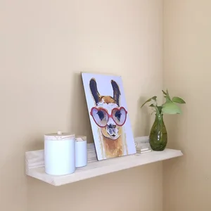 Prateleira, Organizador, Suporte para Decorar P26
