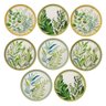 Conjunto 8 Pratos Raso Cerâmica 27,5cm Siena Folhas - 1