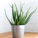 Ver imagem 4 de Tinta Spray Galvanizado Cinza Rust-oleum