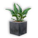 Ver imagem 3 de Vaso Cubo (20x20) Cor Antique Preto Vasart