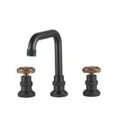 Ver imagem 1 de Torneira Para Banheiro Misturador Duplo Comando Jatobá Pingoo.casa - Preto e Rose