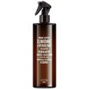 Ver imagem 1 de Home Spray de Ambiente Limone e Verbena 500ml - Antik
