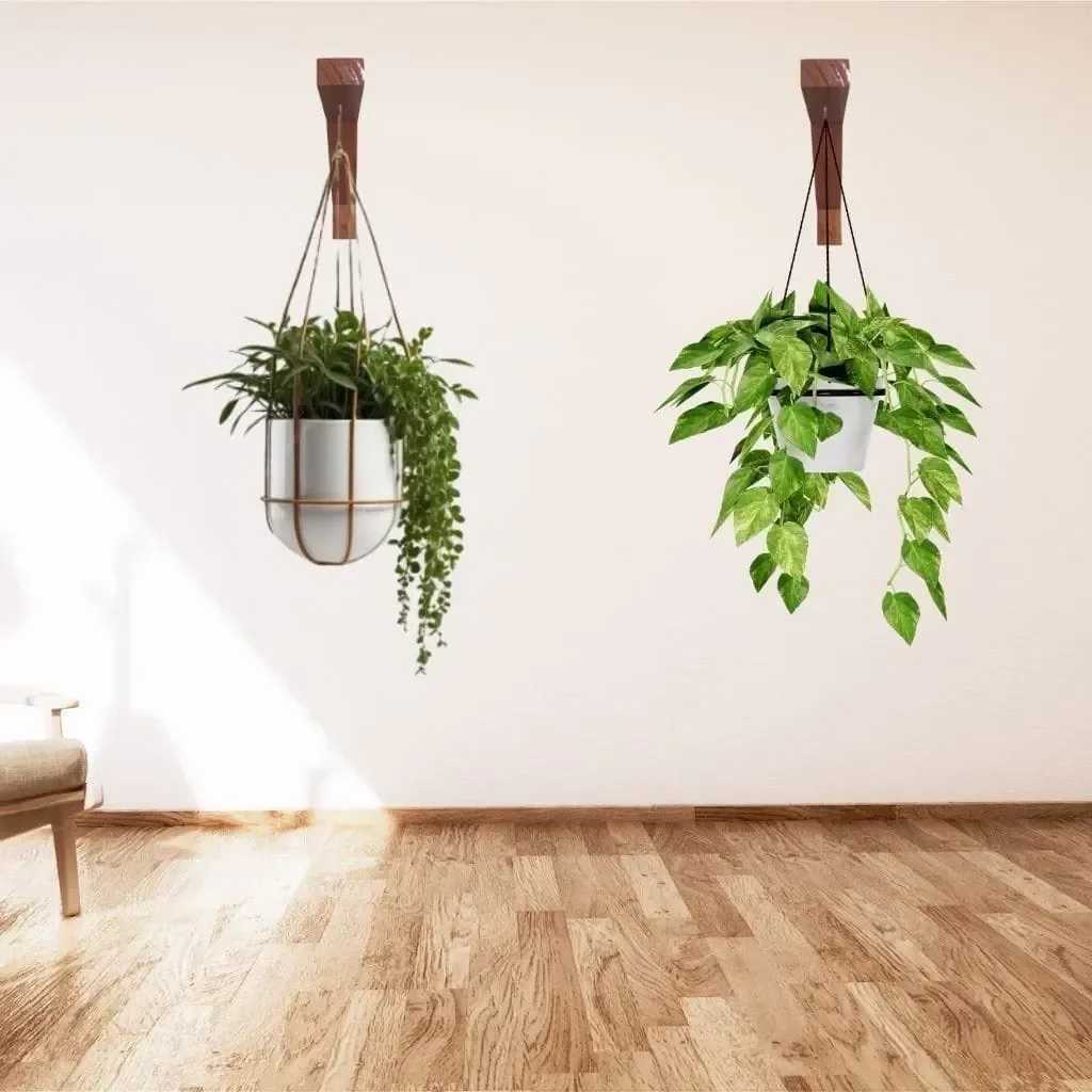 Kit 2x Suporte para Plantas Mão Francesa Madeira com Verniz - 8