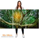 Ver imagem 3 de Kit 3 Quadros Retangulares - Copa da Grande Árvore
