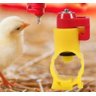 5 Bebedouro Automático Niple.com Presilha Para Pvc 3/4 agro.G GALOS,GALINHAS,PINTAINHOS,FRANGOS,CODO - 4