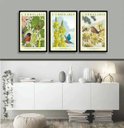 Ver imagem 1 de Kit 3 Quadros Passarinhos Flores Espécies 45x34cm:moldura Preta