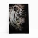 Ver imagem 1 de Tigre Branco Foto Animal Decorativo Quadro Canvas 100x70cm
