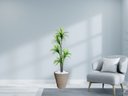 Ver imagem 2 de Planta Artificial Árvore Yucca 1,60m Kit + Vaso Redondo D. Grafiato Bege 40cm