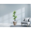 Ver imagem 2 de Planta Artificial Árvore Yucca 1,60m Kit + Vaso Redondo D. Grafiato Bege 40cm