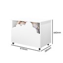 Ver imagem 5 de Baú Infantil Organizador de Brinquedos+nuvem Led Decorativa