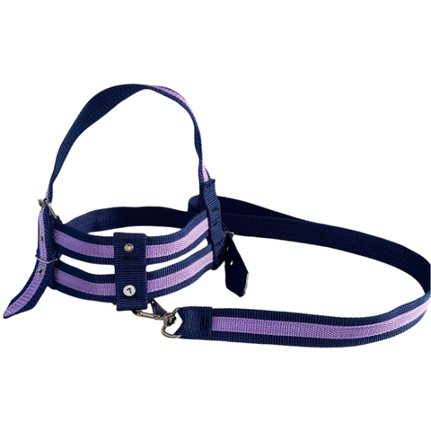 Coleira Peitoral Ajustável com Guia para Pet:lilas/gg