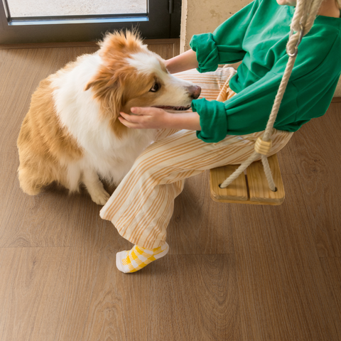 Piso Laminado Quick-Step Smart Carvalho Natural Envernizado 2,51m²