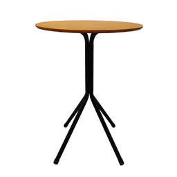 Mesa Bistrô Baixa Estrutura Aço Tampo Mdf Cozinha Bar Redondo Mel - 1