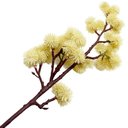 Ver imagem 4 de Kit 2 Plantas Artificiais Mamona Ornamental Jardim de 70cm