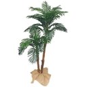 Ver imagem 1 de Arvore Coqueiro Planta Palmeira 2 Galhos 24 Folhas 150cm