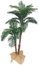 Ver imagem 1 de Arvore Coqueiro Planta Palmeira 2 Galhos 24 Folhas 150cm