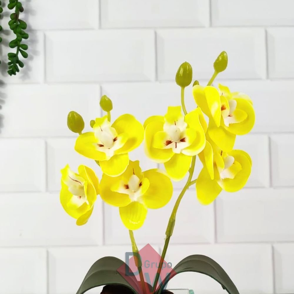 Mini Orquidea:Orquídea Amarela - 3