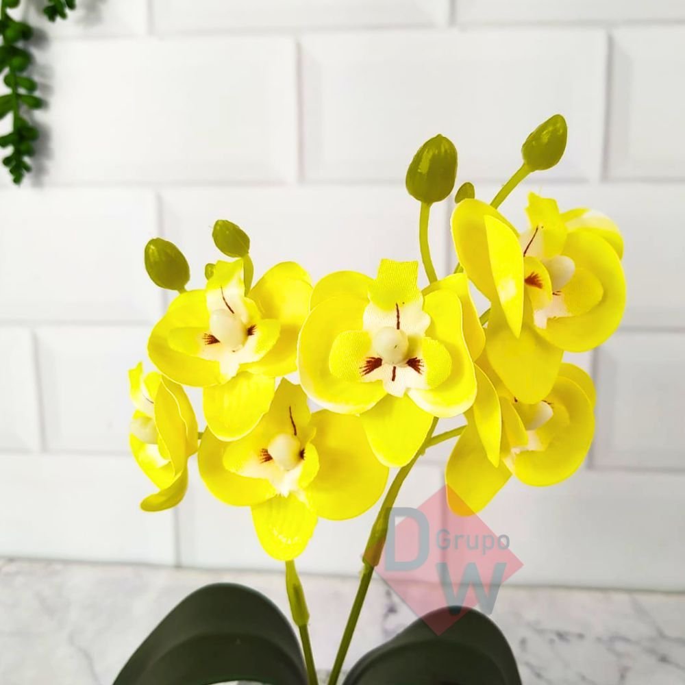 Mini Orquidea:Orquídea Amarela - 4