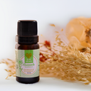 Ver imagem 4 de Kit 6 Essências Super Concentrada Aromatizantes para Difusor