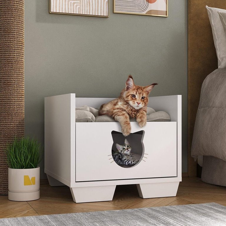 Cama Pet para Gato com 1 Gaveta Multimóveis MP4127 Branca