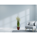 Ver imagem 2 de Planta Árvore Artificial Grass com Grão 90 cm Kit + Vaso E. Marrom 30 cm