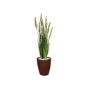 Ver imagem 1 de Planta Árvore Artificial Grass com Grão 90 cm Kit + Vaso E. Marrom 30 cm