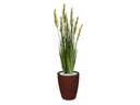 Ver imagem 1 de Planta Árvore Artificial Grass com Grão 90 cm Kit + Vaso E. Marrom 30 cm