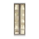 Ver imagem 1 de Guarda Roupa Modulado com 2 Portas com Prateleiras Reflecta com LED 100% MDF Cairo