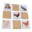 Ver imagem 5 de Jogo da Memória Animais Educativos Pedagógicos Brinquedos em madeira Jogos divertidos Socialização 