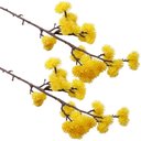 Ver imagem 1 de Kit 4 Plantas Artificiais Enfeite Mamona Amarela Jardim 70cm
