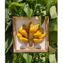Ver imagem 3 de Quadros madeira feito a mão bananas/pimentas alto relevo artesanato mineiro