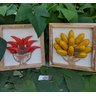 Quadros madeira feito a mão bananas/pimentas alto relevo artesanato mineiro - 6