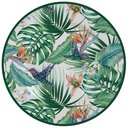 Ver imagem 2 de Jogo de Pratos Raso Beija Flor Alleanza com 6 Unidades 1ºlinha