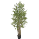 Ver imagem 1 de Planta Árvore Artificial Bambu Japones C/Pote X2640 Verde 1,90m