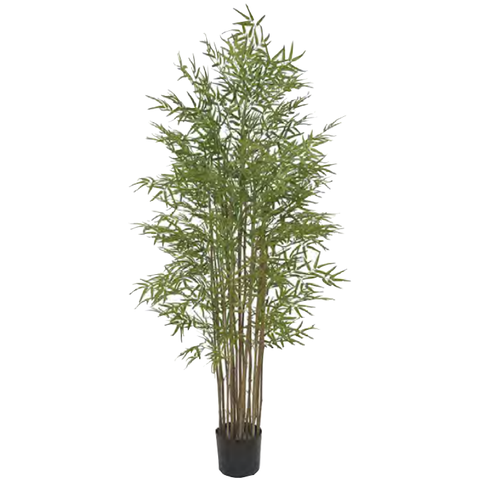 Planta Árvore Artificial Bambu Japones C/Pote X2640 Verde 1,90m