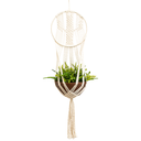 Ver imagem 1 de Suporte para Vaso de Plantas Macramê Bege Cru Cactus