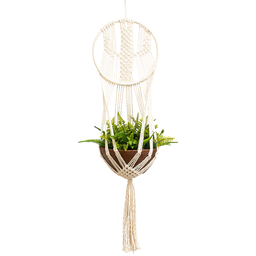 Suporte para Vaso de Plantas Macramê Bege Cru Cactus - 1