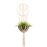Suporte para Vaso de Plantas Macramê Bege Cru Cactus - 1