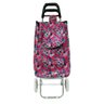 Carrinho de Feira Multiuso 95x45cm Mod13 - Quanhe - 1
