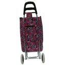 Ver imagem 2 de Carrinho de Feira Multiuso 95x45cm Mod13 - Quanhe