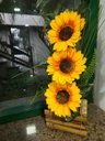 Ver imagem 3 de Arranjo De Girassol Vaso Decorativo Com Girassóis Festa Grandes