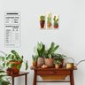 Tipos de Cactos - Quadros Modulares ou Placas Modulares Decorativas com 6 Peças - 2