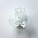 Ver imagem 3 de Kit 4 Suporte Organizador Dispenser Porta Escova de Dente:transparente