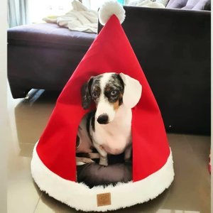Cama Para Gatos e Cachorros Montanha + Capa Touca Natalina