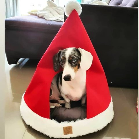 Cama Para Gatos e Cachorros Montanha + Capa Touca Natalina