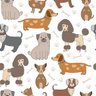 Papel De Parede Adesivo Cachorros N09059 0,58x2,5M - 2