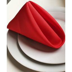 Jogo 6 Guardanapos de Boca de Pano Mesa Posta 40cm x 40cm Oxford Liso:Vermelha - 2